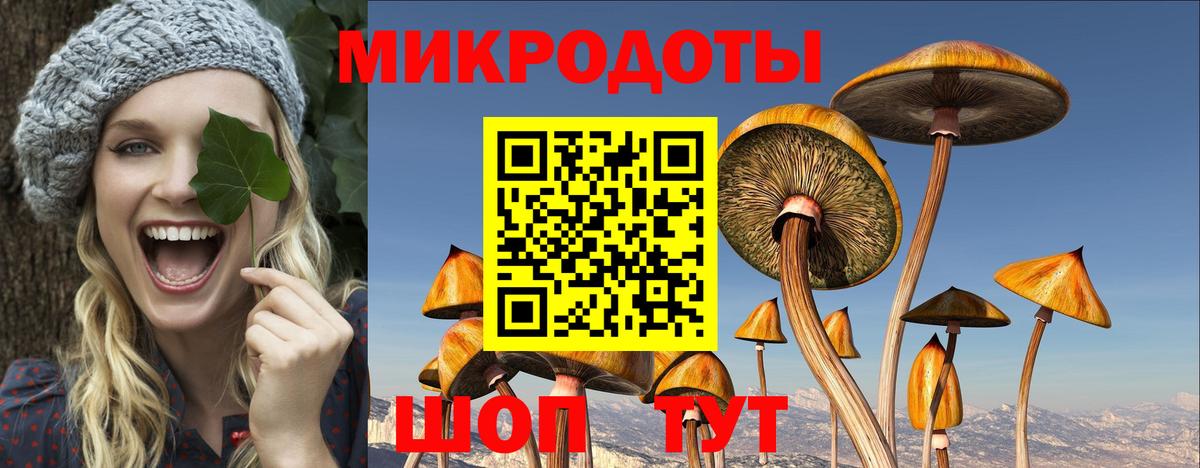 Галлюциногенные грибы мухоморы Глазов