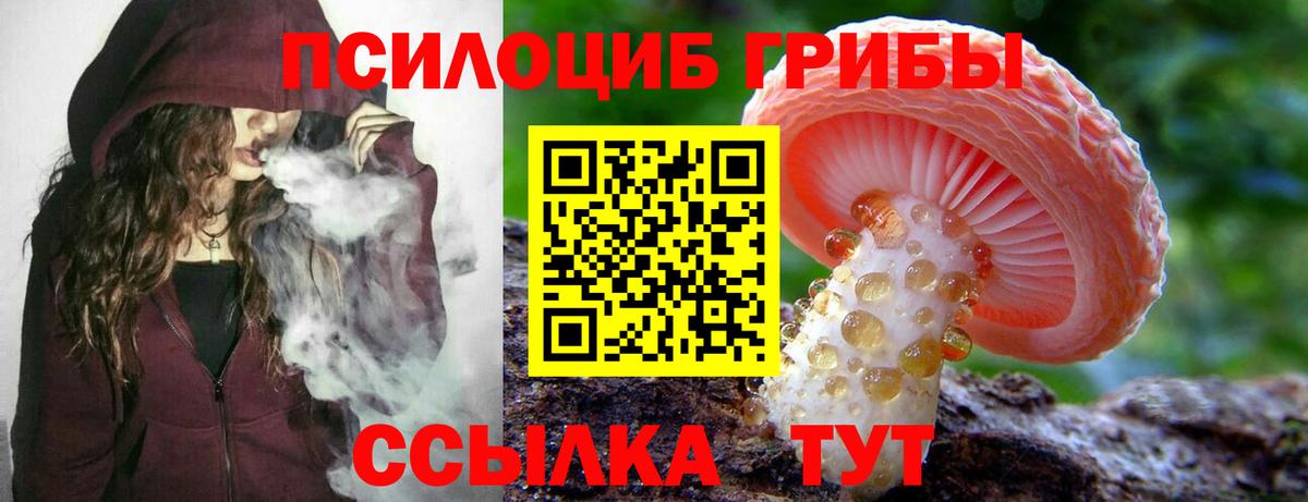 Глазов  купить закладку  Вход с VPN  Псилоцибиновые грибы Psilocybe  Галлюциногенные грибы Psilocybe 